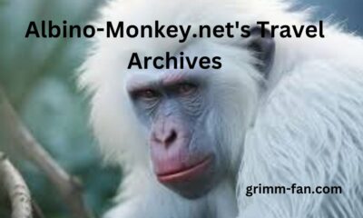 Albino-Monkey.net's Travel Archives