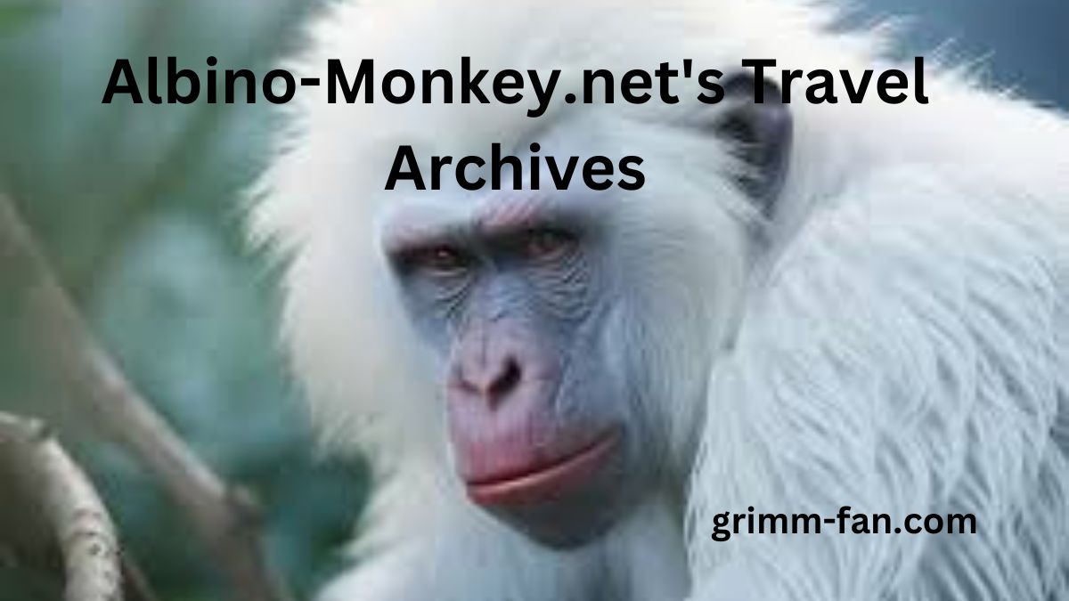 Explore albino-monkey.net Travel Archives: Your Ultimate Guide to Travel Inspiration