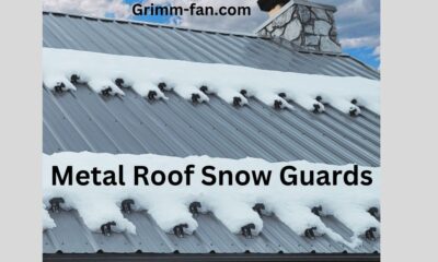 Metal Roof Snow Guards