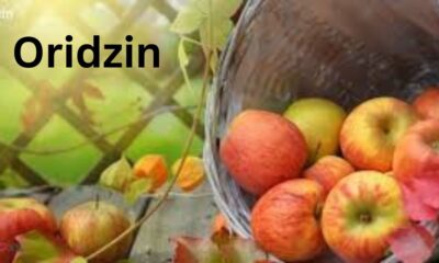 Oridzin