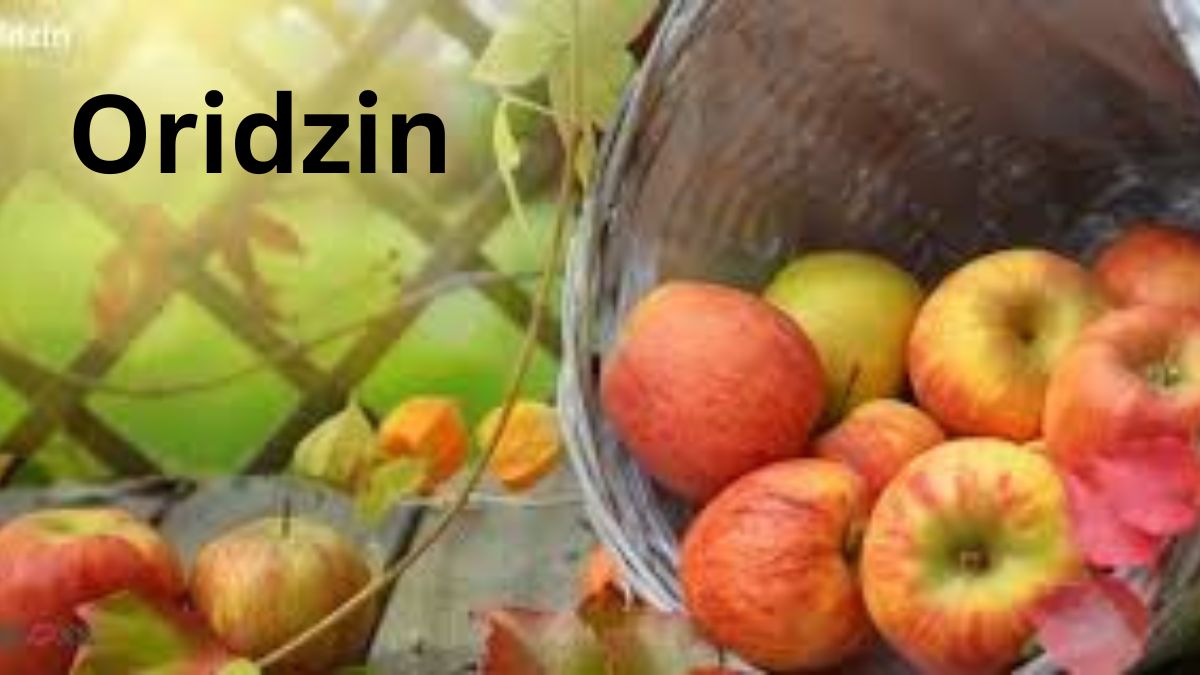 Oridzin