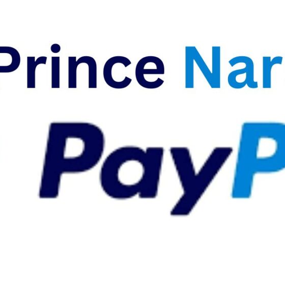 Prince Narula Digital PayPal