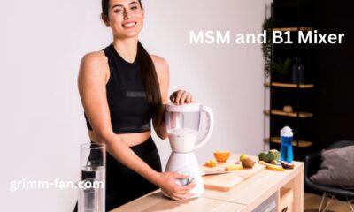 MSM and B1 Mixer