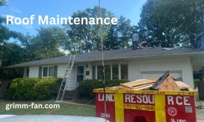 Roof Maintenance