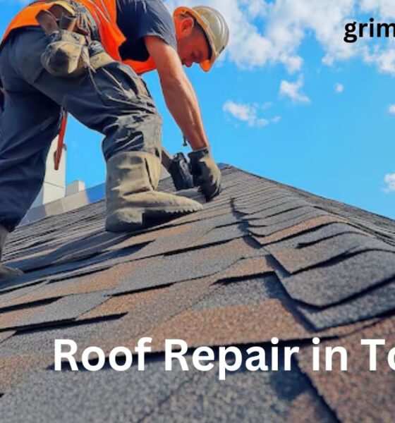 Roof Repair in Toronto