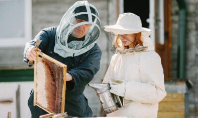 Beekeeping Jackets