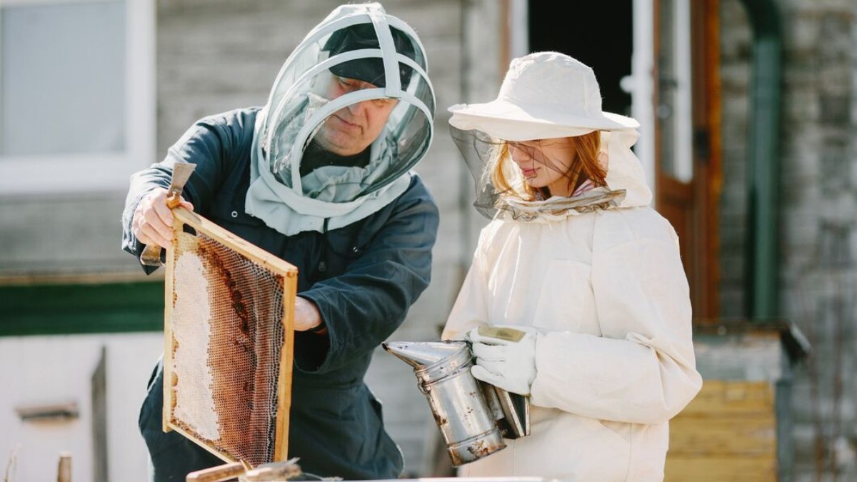 Beekeeping Jackets