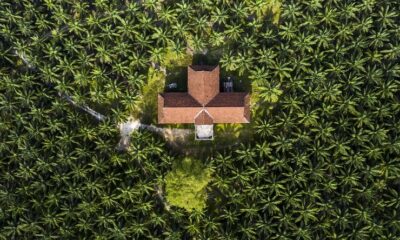Palm & Pineapple Roofing Exteriors