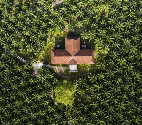 Palm & Pineapple Roofing Exteriors